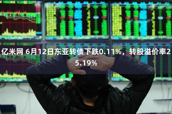 亿米网 6月12日东亚转债下跌0.11%，转股溢价率25.19%