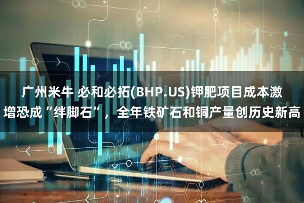 广州米牛 必和必拓(BHP.US)钾肥项目成本激增恐成“绊脚石”，全年铁矿石和铜产量创历史新高